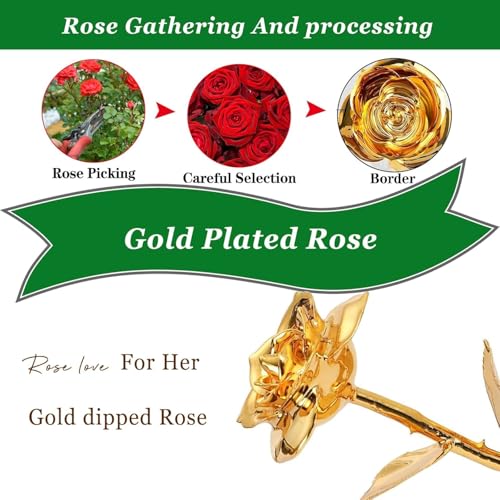 Gold Rose 24K Plated Gold Dipped Rose,Genuine One of a Kind - Forever Flower -Preserved Rose,Romantic Gift for Valentine's Day and Mothers Day, Anniversary, Birthday,Gifts for Her,Wife,Girlfriend - color: Gold Rose（with Heart-shaped Stand）