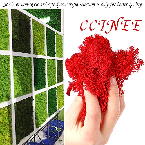 CCINEE Moss Preserved, 4 OZ Fake Reindeer Moss for Potted Plants for Craft Arts Floral Wall Decor Wedding Centerpieces Fairy Garden Artificial Terrariums Decoration for Christmas(Rose Pink) - color: Rose Pink