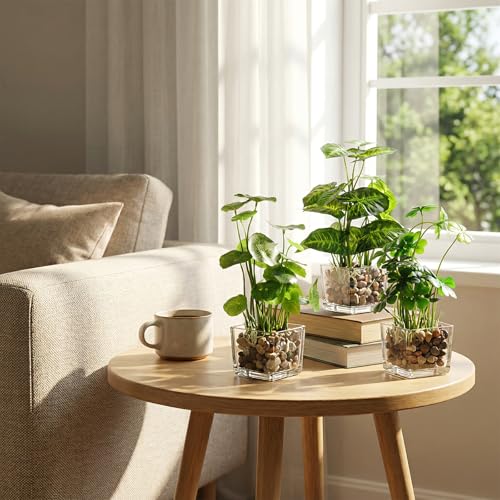 MyGift Set of 3 Fake Plants, Small Artificial Potted Plants Indoor in Clear Glass Pot, 9.5 Inch Faux Plant for Home Decor - color: Clear (Earth Tone Pebbles)