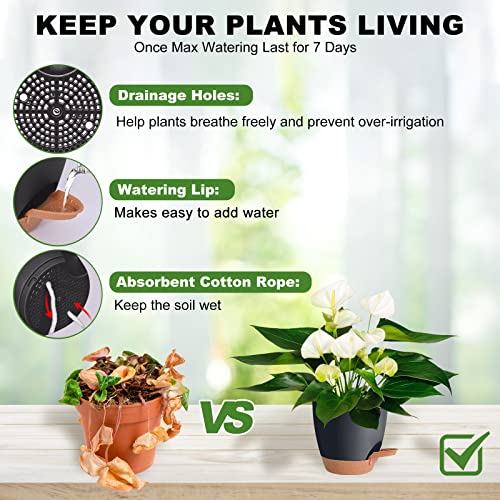 Vanslogreen Plant Pots Pack of 5, 7/6.5/6/5.5/5 Inch Self Watering Planters with Drainage Hole Planter for Indoor Plants, Planting Pots for African Violet, Ochid and House Plants (Black) - color: Black-5pack, size: 7/6.5/6/5.5/5 inch