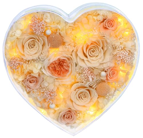 Valley of Rain & Forest Long-Lasting Real Flowers With Delivery | "Sweet" Preserved Floral Gift With Lights For You to Send Love, Romantic Home Decor (Forever Yellow Roses Arrangement) - color: Champagne & Yellow Roses Arrangement