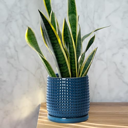 D'vine Dev 6 Inch Ceramic Beaded Stoneware Planter Pot - Flower Pot with Drainage Holes and Saucers for Indoor Succulent Plants or Flowers, Midnight Blue, 27-C-X-3 - color: Midnight Blue, size: 5.8 Inch