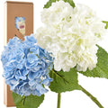 FiveSeasonStuff Real Touch Silk Hydrangea Flowers, 2 Large Long Stem Artificial Flowers for Floral Arrangements (Mixed Summer White & Heavenly Blue) - color: Mixed Summer White + Heavenly Blue