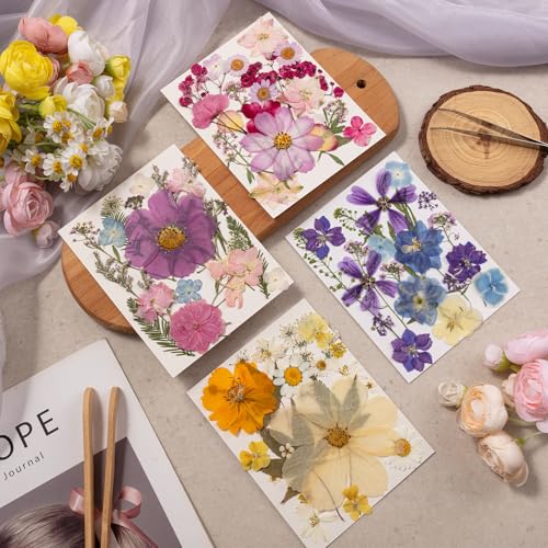 80PCS Spring Large Pressed Flowers Leaves , Real Nature Dry Flowers for Resin Craft, Larage Pressing Floral with Tweezers Set for DIY Jewelry Making Nail Card Scrapbook Art - size: Vintage