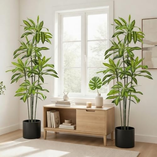 Giegxin 2 Pack 6 FT Artificial Dracaena Tree, Indoor Fake Tree with Black Stable Planter, Natural Wood Trunk & Lifelike Leaves Dracaena Plants for Home Living Room Porch Office Housewarming Gift - size: 6 ft