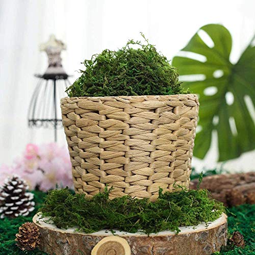 Fake Moss for Crafts, Artificial Green Moss for Potted Plants Centerpieces Decor (3.5OZ)
