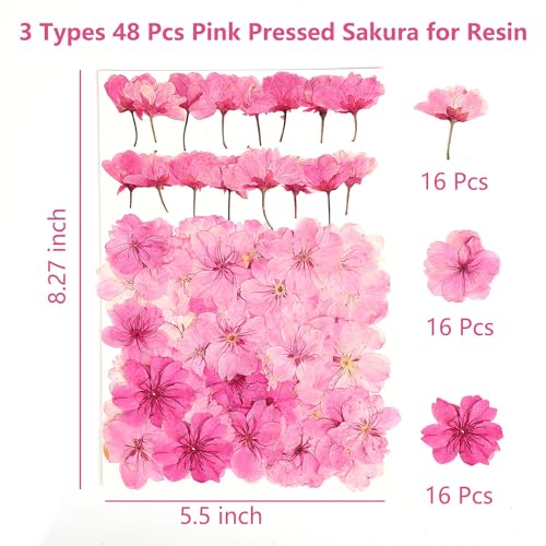 48 Pcs Mix Natural Dried Pressed Cherry Blossoms for Floral Cake Decorating, Cocktail Garnish, Resin Jewelry Making, DIY Art Crafts (Pink Sakura) - color: Pink Sakura