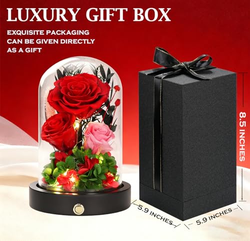 Red Roses Gifts for Women,Preserved Roses in Glass Dome, Forever Flowers for Delivery, Eternal Flower Mothers Day Anniversary Birthday Valentines Day Gifts for Wife Her Mom - color: New Red