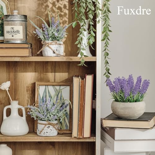 Small Fake Plants, 2 Pack Mini Artificial Plants Fake Lavender Plant in Pot, Lavender Decor and Dining Room Desk Shelf Bathroom Living Room (A-2pcs) - color: Purple