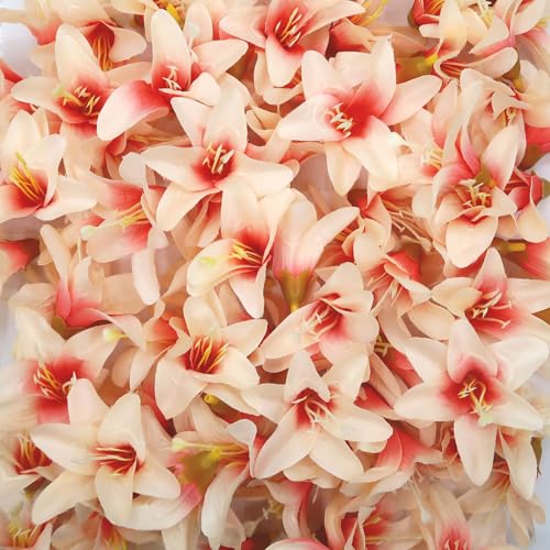 20 Pcs Artificial Lily Flower Head, Champagne | Fake Flowers Heads, Simulation Small Lily, DIY Handmade, Wedding Photography Party Home Decoration - color: Champagne