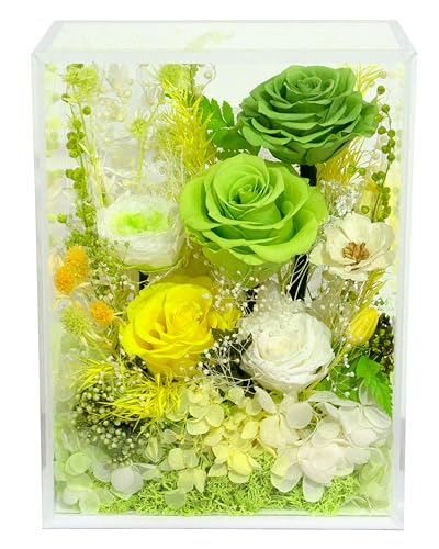 Valley of Rain & Forest Long-Lasting Real Flowers With Delivery | Handcrafted Preserved Rose Bush For You to Send Love for All Occasions, Indoor Floral Decor (Green Rose Spring-themed) - color: Green Rose