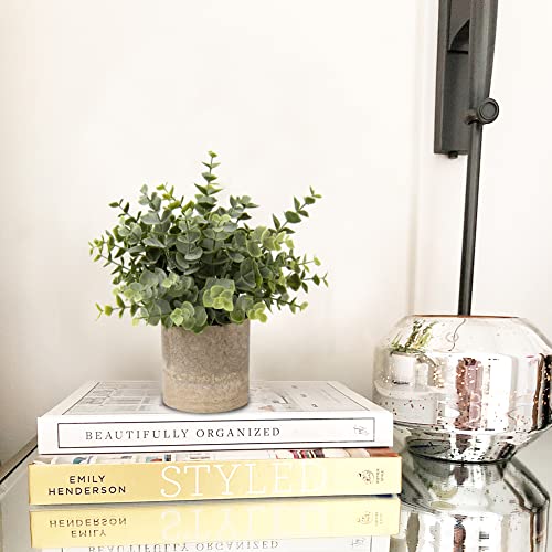 Briful Artificial Potted Plants Set of 3 Small Faux Plant Eucalyptus Mini Fake Plant Decor for Home Table Office Room Desk Bathroom Shelf Kitchen Rustic Farmhouse Mantel Decoration - color: 6-green