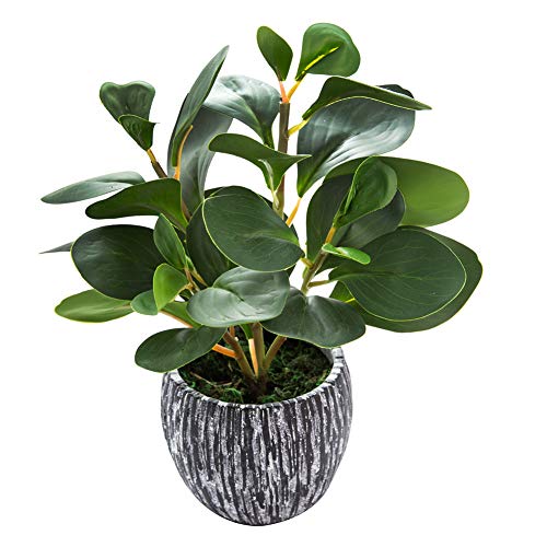 AlphaAcc Artificial Plants Real Looking and Touching Fake Plant Evergreen Plastic Fiddle Leaf Fig Plant with Rustic Black Cement Planter for Housewarming Office Desk Decor - color: Green Fiddle Leaf Fig Plant