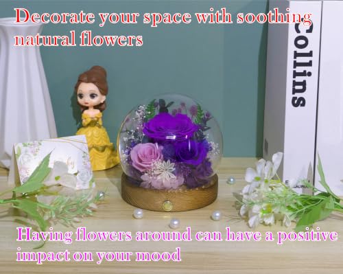 Valley of Rain & Forest Long-Lasting Real Flowers, Unique Floral Gift for You to Send Love for All Occasions, for Indoor Decoration (Dark Purple & Pink Roses Arrangement) - color: Dark Purple & Pink Roses Arrangement