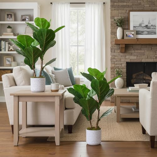 Artificial Fiddle Leaf Fig Tree in Pot 2 Sets, 15.7" Faux Ficus Lyrata Plant Green Bonsai in White Planter, Indoor Decorative Fake Tree for Home Office Desk Living Room, Modern Room Decor - size: 15.7 inches