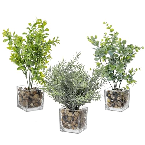 MyGift Artificial Rosemary Eucalyptus and Boxwood Plants Potted in Clear Glass Square Pots, Assorted Faux Greenery Indoor Home Table Centerpiece Office Desk Decor, 3 Piece Set - color: Green