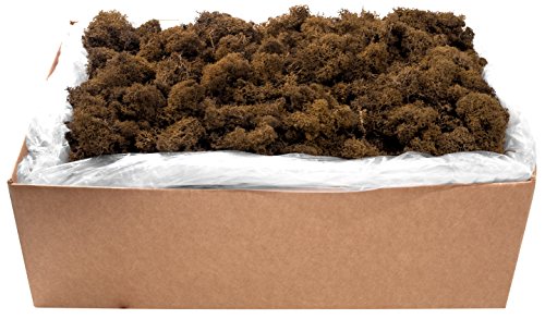 SuperMoss (23096) Reindeer Moss – Soft Preserved Moss for Home Decor, Crafts, Terrariums, Floral Design, and Wedding Decorations, 2,588 cu in, Brown - color: Brown, size: Appx. 10 lb Bulk Case