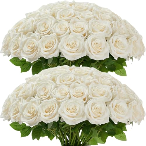 100 Pcs White Rose Artificial Flowers Bulk, Ivory Silk Fake Roses with Long Stem for Wedding Decoration, Bridal Bouquets, DIY Flower Wall, Party Table Centerpieces, Home Decor - color: Ivory