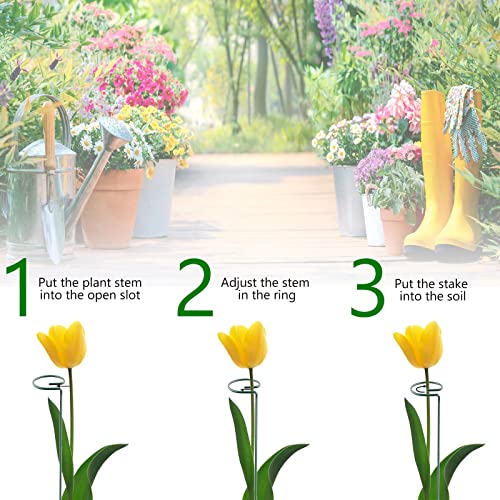 Thealyn 36 Inch 20 Packs Plant Support Stake Garden Single stemmed Plant Support Hoops Plant Prop for Flowers Orchid Tomatoes Peony Lily Rose Gladiolus (36 inch) - color: 36 inch-Green