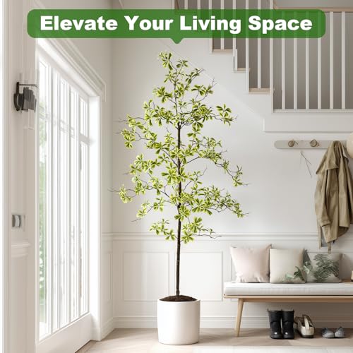 Bailikang 6FT Artificial Black Olive Tree Artificial Olive Plants, Tall Faux Olive Tree Faux Silk Plant Fake Plant Ultra-Realistic Silk Leaves & Natural Trunk Indoor Outdoor Use - color: White Olive Tree, size: 6ft