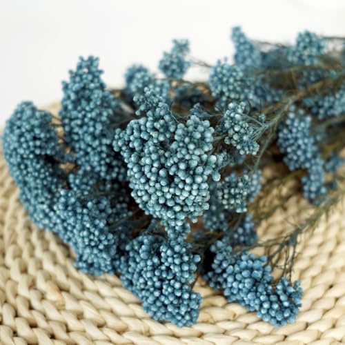 Natural Preserved Millet Flowers Dried Bouquet Flowers and Plants Arrangements for Home and Wedding Decoration (Ocean Blue) - color: Ocean Blue