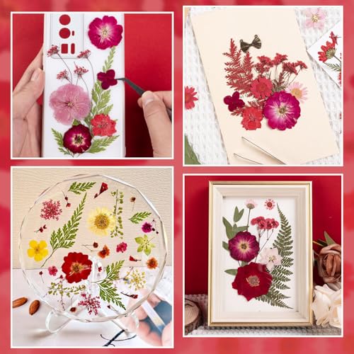 101 PCS Red Dried Pressed Flowers for Christmas Crafts Resin, Red Real Nature Flowers Bulk for DIY Holiday Cake Card Scrapbook Supplies, Large Dried Flowers for Soap Candle Making - size: Red