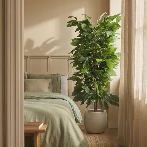 BLAINE | Mango Tree 6 FT | Decorative Artificial Plants | Large Artificial Plant | Artificial Plants for Indoor/Outdoor use | Realistic Decorative Artificial Plant for Home - size: 6 FT