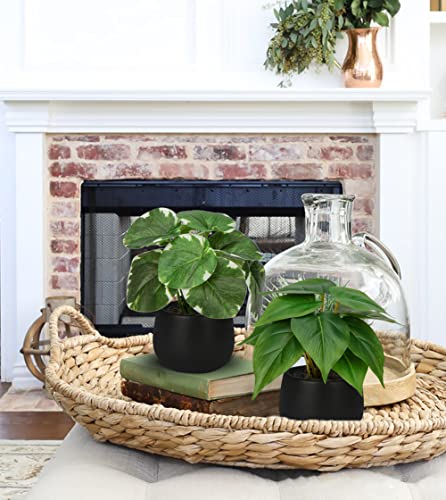 Briful 3PCS Fake Plants Potted Artificial Plants Mini Faux Plants in Black Ceramic Pots Greenery Décor for Home Office Table Room Farmhouse Indoor Decoration - color: Type#2
