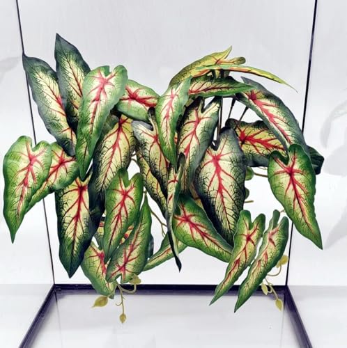 Reptile Plants for Terrarium, Amphibian Habitat Decor Artificial Hanging Plants with Suction Cup, Artificial Plants for Gecko Chameleon Snake Tortoise Tank Accessories. 2-Pack (Alocasia odora -A) - color: Alocasia Odora-a