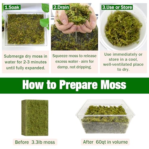 ZeeDix 3.3 lbs Forest Moss for Plants Indoor - Dried Orchid Moss for Repotting, Natural Green Sphagnum for Potted Plants Carnivorous Monstera Succulents Crafts Reptile Habitat (Expands to 60 qt) - color: 3.3LB