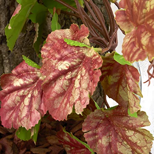 Reptile Plants for Terrarium, Amphibian Habitat Decor Artificial Hanging Plants with Suction Cup - Fake Heuchera Micrantha Pink - color: Fake Heuchera Micrantha Pink