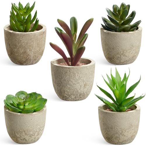 Artificial Succulent Plants in Pots, Set of 5 Mini Fake Succulents for Indoor Home Decor, Small Faux Potted Greenery for Office Desk, Shelf, Bathroom, or Modern Boho Rustic Room Decoration