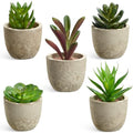 Artificial Succulent Plants in Pots, Set of 5 Mini Fake Succulents for Indoor Home Decor, Small Faux Potted Greenery for Office Desk, Shelf, Bathroom, or Modern Boho Rustic Room Decoration