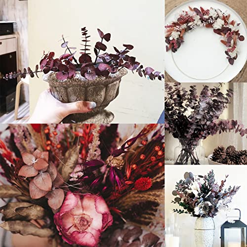 16 Pcs Dried Fall Eucalyptus Stems Red, Christmas Burgundy Dried Flowers for Vase, Home Decor, Real Eucalyptus Orange Brown, Eucalyptus Plant, 17" Fall Floral Stems Decorations Arrangement