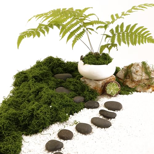Dark Green Simulated Moss, Artificial bryophytes, Suitable for Moss Decoration, Green Craft, DIY Gardening Art, Garden Christmas and Easter Decoration(2.1OZ) - color: Dark Green