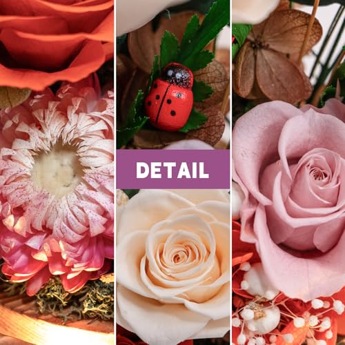 Forever Flower Gifts for Her:Perfect Graduation Flowers for Daughter Wife Mom-Preserved Flower with Symbolic Ladybugs–Flowers for Delivery Prime on Anniversary Valentines Birthday (Orange) - color: Orange2