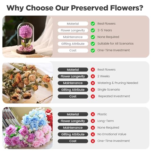 Forever Hydrangeas in Glass Dome,Forever Preserved Flowers Gifts Mothers Day Birthday for Grandma Women Mom Wife,Fresh Flowers for Delivery/Purple Hydrangea - color: Purple