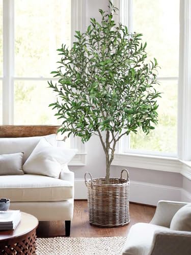 Hollyone Faux Olive Tree 7Feet Tall Fake Olive Tree 7FT with Pot Indoor Lifelike Wood Trunk and Fruits Large Potted Artificial Tree Plant with Tall Ceramics Pot Planter Housewarming Home Decor Gift - color: Green - 6.7 Ft