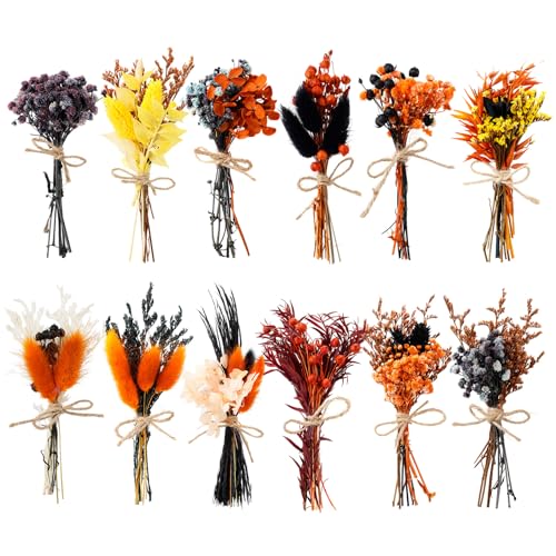 10/12/24/36 Pack Mini Dried Flowers for Vase Summer Halloween Wedding Various Mini Bouquet Dried Small Wildflowers Natural Flowers Bulk for Crafts DIY Decor (12, Orange Black 2) - size: Orange Black 2