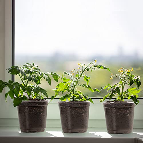 MIXC Clear Plant Nursery Pots with Humidity Dome 4" Soft Transparent Plastic Gardening Pot Planting Containers Cups Planter Small Starter Seed Starting Trays for Seedling with 10pcs Plant Labels - color: Transparent, size: 4 Inch-with Lid