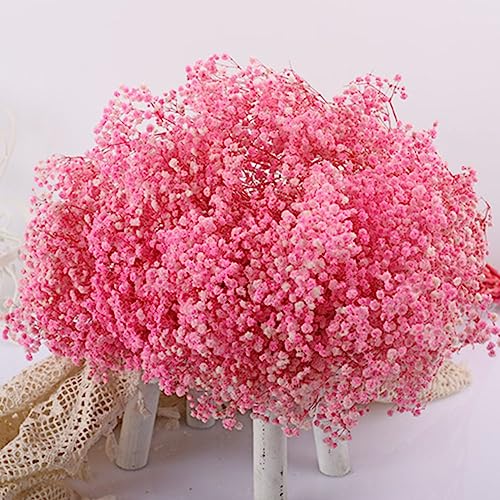 17.2 Inch Dried Flowers Baby's Breath Bouquet - 2500+ Dry Flowers,Natural Gypsophila Branches for Home Decor, Wedding, Table Decor, DIY Wreath Floral, Dry Flowers Bulk for Vase (Pink) - color: Pink