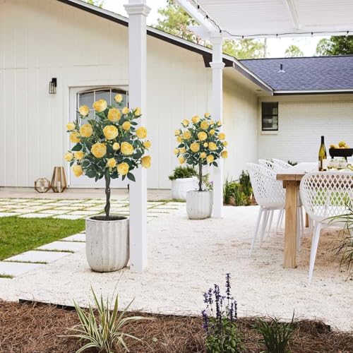 HUAESIN 4FT Artificial Outdoor Trees Rose Tree with 52 Blooming Artificial Flower Yellow Floral Tree for Home Decor Indoor Farmhouse Front Porch Yard Living Room Set of 2