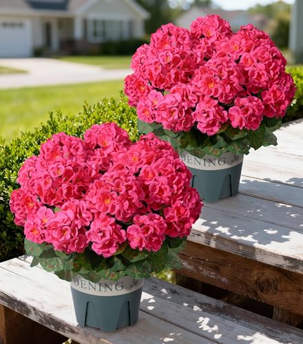 Geraniums Artificial Flowers for Outdoors, 2 Pack Potted Plants Fake Geranium Bush Realistic Fake Flowers UV Resistant Faux Flowers for Outdoor Planters Outside Gardens Front Door Yard Indoor, HotPink - color: Hotpink