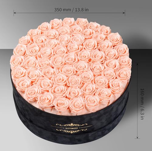 Gifts for Women – NATROSES 60 Preserved Roses in Luxury Black Velvet Box, Preserved Flowers for Delivery Gift for Her, Elegant Rose for Birthday, Mother’s Day, Christmas (Champagne Pink) - color: Champagne Pink, size: 60 Roses