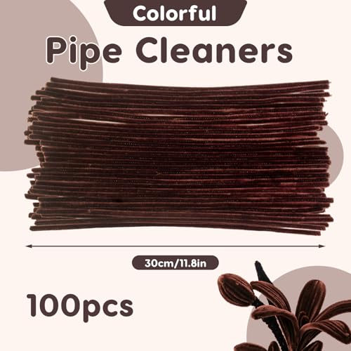 100 Pcs Solid Color Pipe Cleaners, 12 Inch 6mm Single Color Chenille Stems, Fuzzy Flexible Craft Pipe Cleaners, Bulk Art DIY Supplies , Flower Making, Holiday Decor & Handmade Projects (Dark Brown) - color: Dark Brown