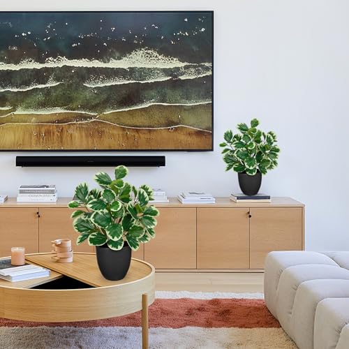 Sets of 2 Artificial Plants Indoor Home Decor, 14.5" Fake Potted Silk Plants for Shelves Living Room Decor, Small Artificial Office Desk Plant in Pots, Faux Peperomia Hope Tropical House Plant - color: 2 Sets #Funny White Margin