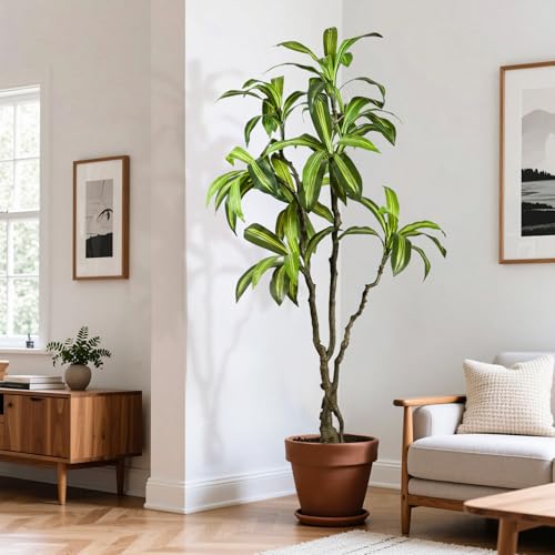 Artificial Dracaena Tree 6.5ft(78in) Faux Floor Plant for Indoor Decor Realistic Potted Tree with Texture Lifelike Leaves and Natural Wood Trunk for Home Living Room,Office Perfect Housewarming Gift - color: Dracaena Tree, size: 6ft