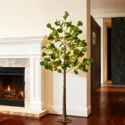 Hairui Lighted Artificial Fiddle Leaf Fig Tree 6FT 222 LED Fairy Lights, Faux Plant Tree with Lights for Home Room Spring Christmas Decoration Indoor - style: 6FT Fiddle Leaf Fig Tree