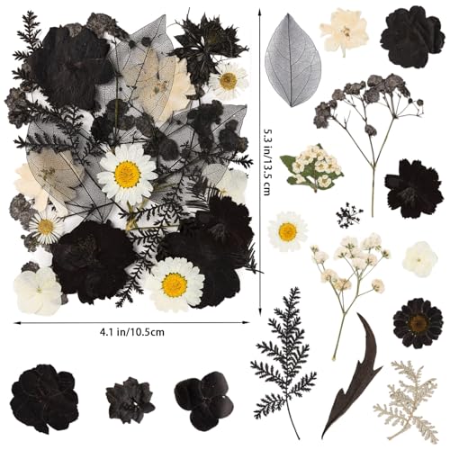 78 Pcs Black and White Dried Pressed Flowers with Tweezer, Halloween Themed Real Dried Flowers Leaves for DIY Crafts Resin Molds, Dried Flowers for Autumn Halloween Decorations - size: Black