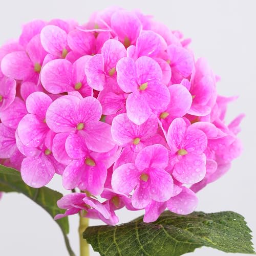 Coferset 5pcs Hydrangea Artificial Flowers Real Touch 20 inch Lifelike Hydrangea Flower for Home Wedding Office Party Living Room Decoration (Dark Fuchsia) - color: Dark Fuchsia